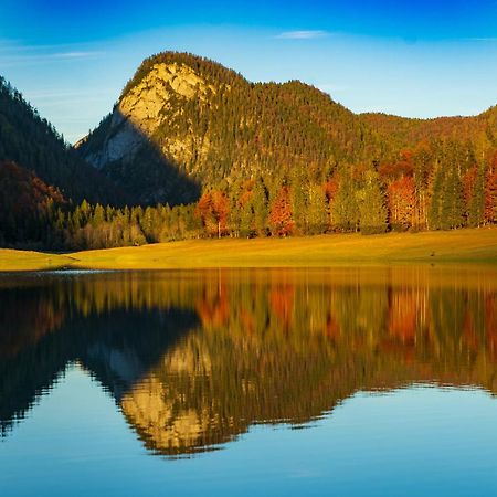 Ferienwohnungen Hollweger Inkl. Chiemgaukarte Ruhpolding Exteriör bild