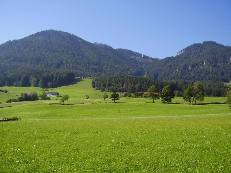 Ferienwohnungen Hollweger Inkl. Chiemgaukarte Ruhpolding Exteriör bild
